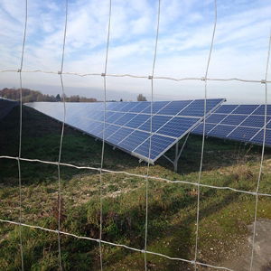 Solar Fencing 2