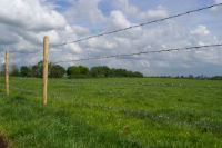 Barbed Wire 2.5mm Mild Steel 200m