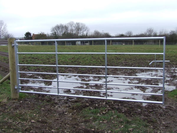 Metal Field Gate 10ft 7 Rail 1145mm High Box Stiles