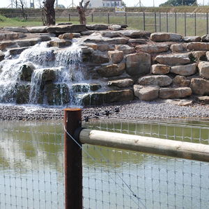 Animal Park Fence