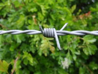 Barbed Wire Titan 2mm High Tensile 500m