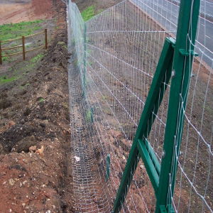 Badger fencing 2