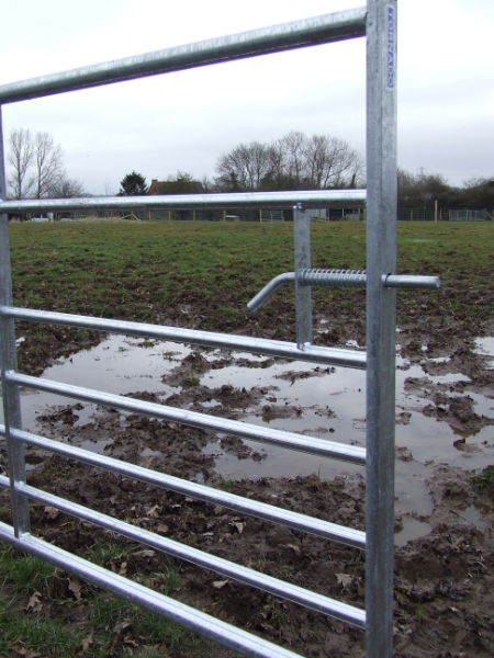 Metal Field Gate 8ft 7 Rail 1145mm High Box Stiles