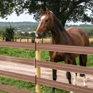 Polymer Fencing