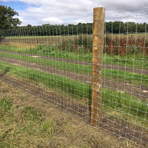 Poultry fencing pictures 1