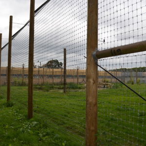 Leopard Animal Park