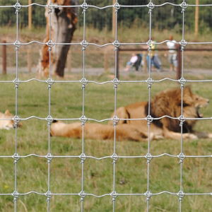 Animal Park Fencing 