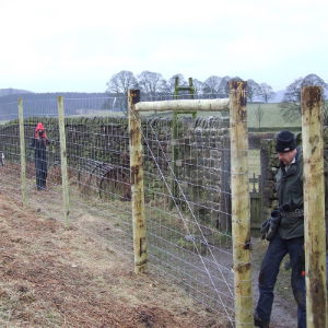 Deer Fencing Installation