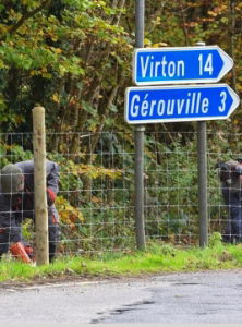 Selecting The Correct Fence for Containing Wild Boar 