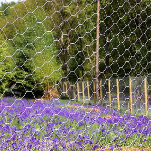 Hexagonal Fencing